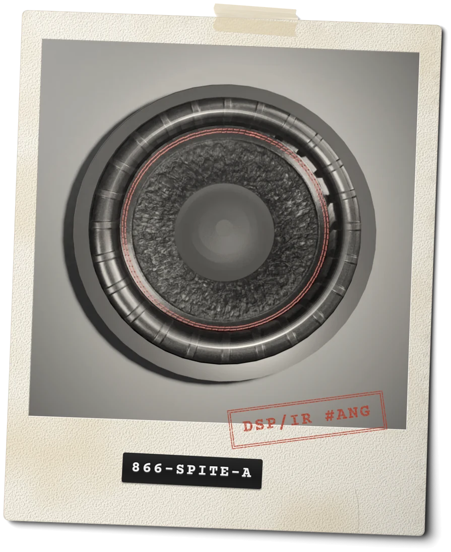 Evidence print 866-SPITE-A: "Subwoofer." Stamped "DSP/IR #ANG".